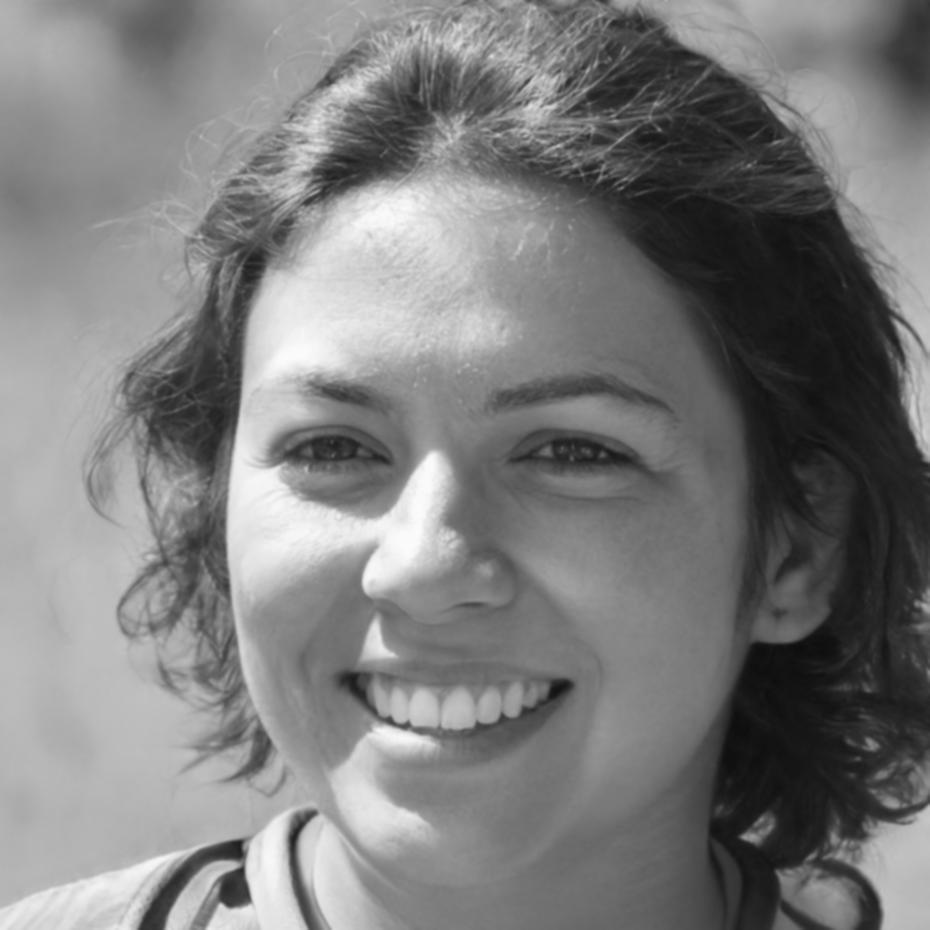 Participant Vesna Krstić